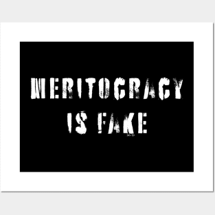 Meritocracy Is Fake Posters and Art